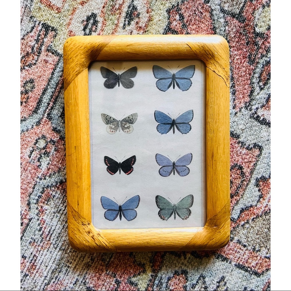 Butterfly Print in Wooden Frame